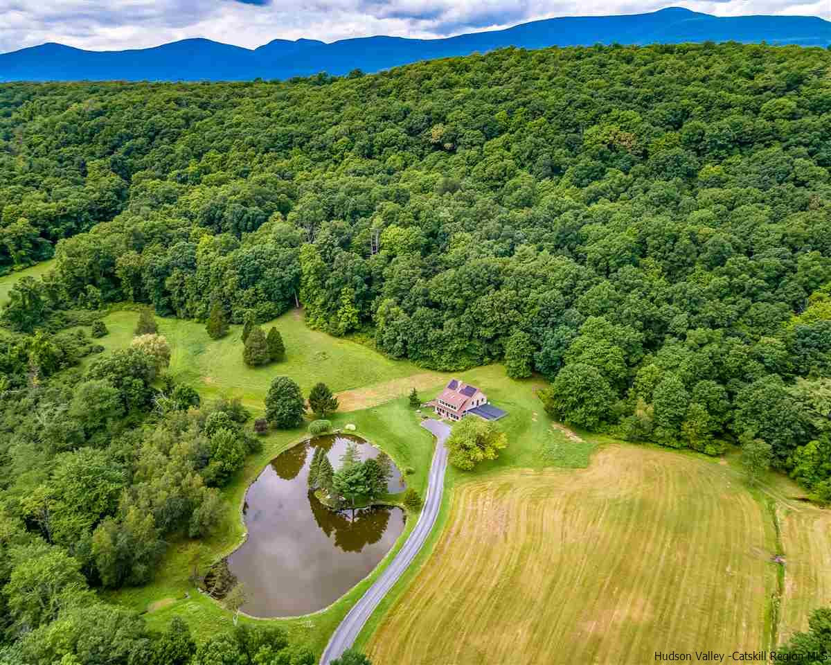 151 Wilhelm Road Saugerties, NY 12477 - Photo 3 of 35 a view of a big yard with large trees