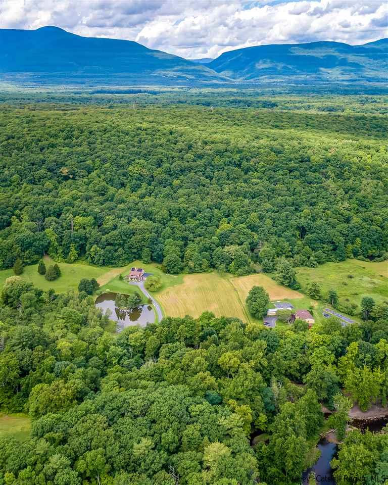 151 Wilhelm Road Saugerties, NY 12477 - Photo 5 of 35 a view of a yard with large trees