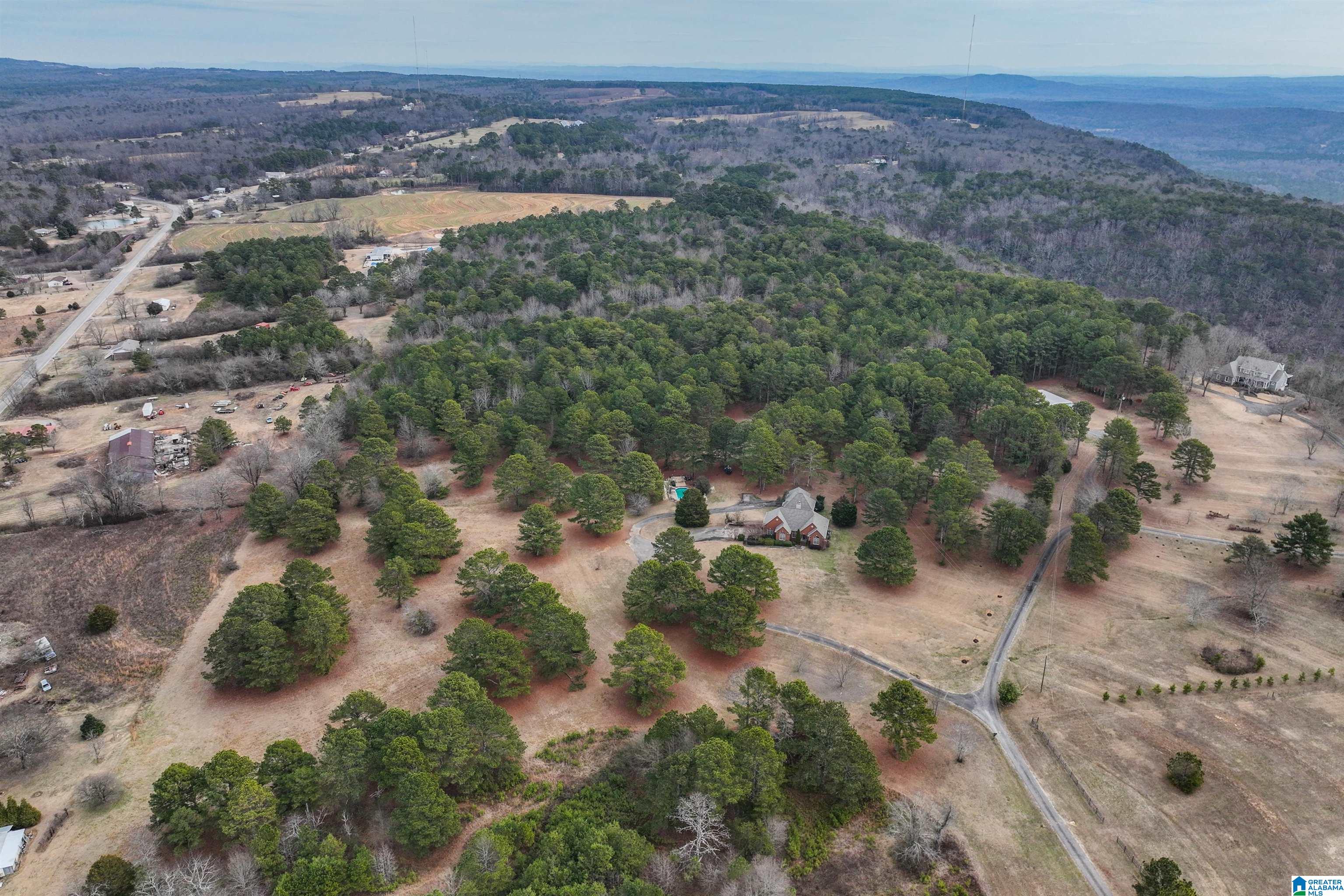 275 Timber Ridge Drive Springville, AL 35146 - Photo 78 of 80