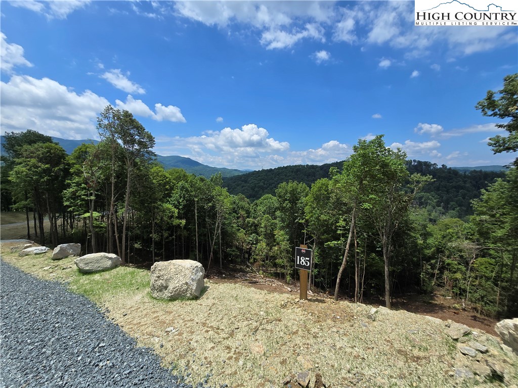 Lot 185-188 Raspberry Lane Elk Park, NC 28622 - Photo 1 of 38