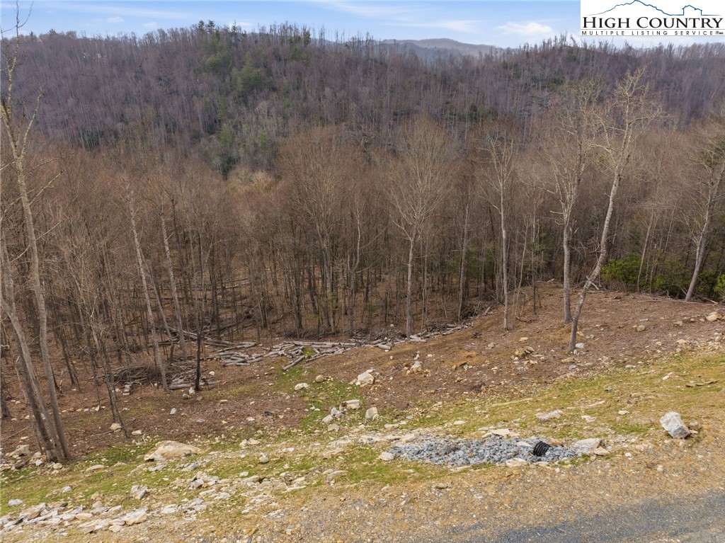 Lot 185-188 Raspberry Lane Elk Park, NC 28622 - Photo 20 of 38