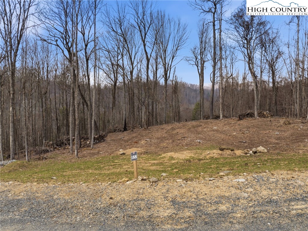 Lot 185-188 Raspberry Lane Elk Park, NC 28622 - Photo 23 of 38