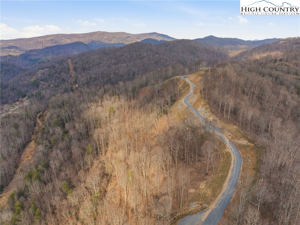 Lot 185-188 Raspberry Lane Elk Park, NC 28622 - Photo 29 of 38