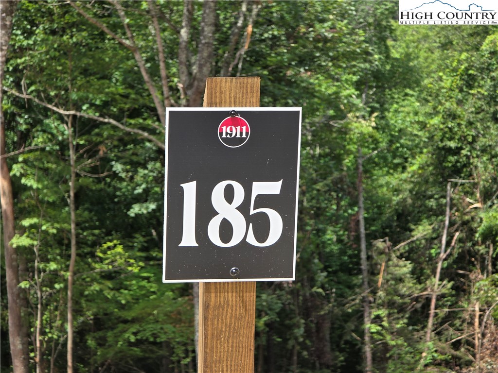 Lot 185-188 Raspberry Lane Elk Park, NC 28622 - Photo 4 of 38