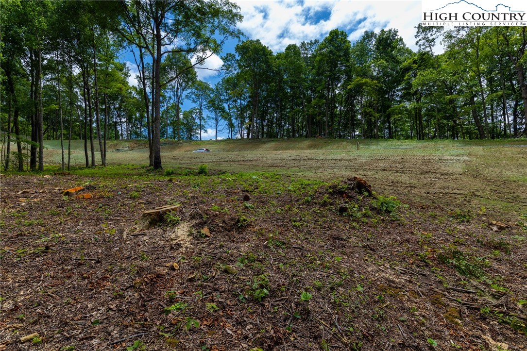 Lot 185-188 Raspberry Lane Elk Park, NC 28622 - Photo 8 of 38
