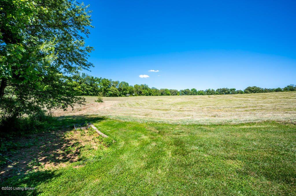 510 Walnut Grove Road Ekron, KY 40117 - Photo 61 of 79 DN0_9347