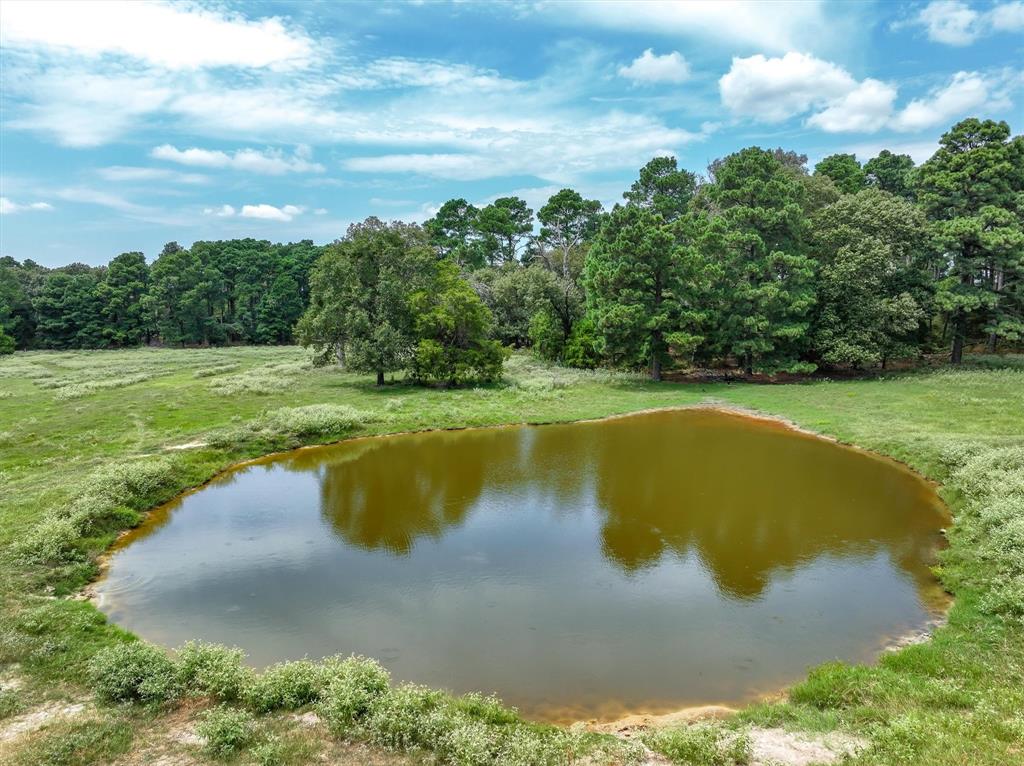 0 County Road 2212 Canton, TX 75103 - Photo 15 of 22