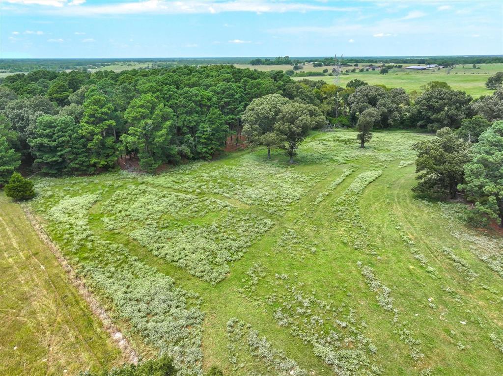 0 County Road 2212 Canton, TX 75103 - Photo 16 of 22