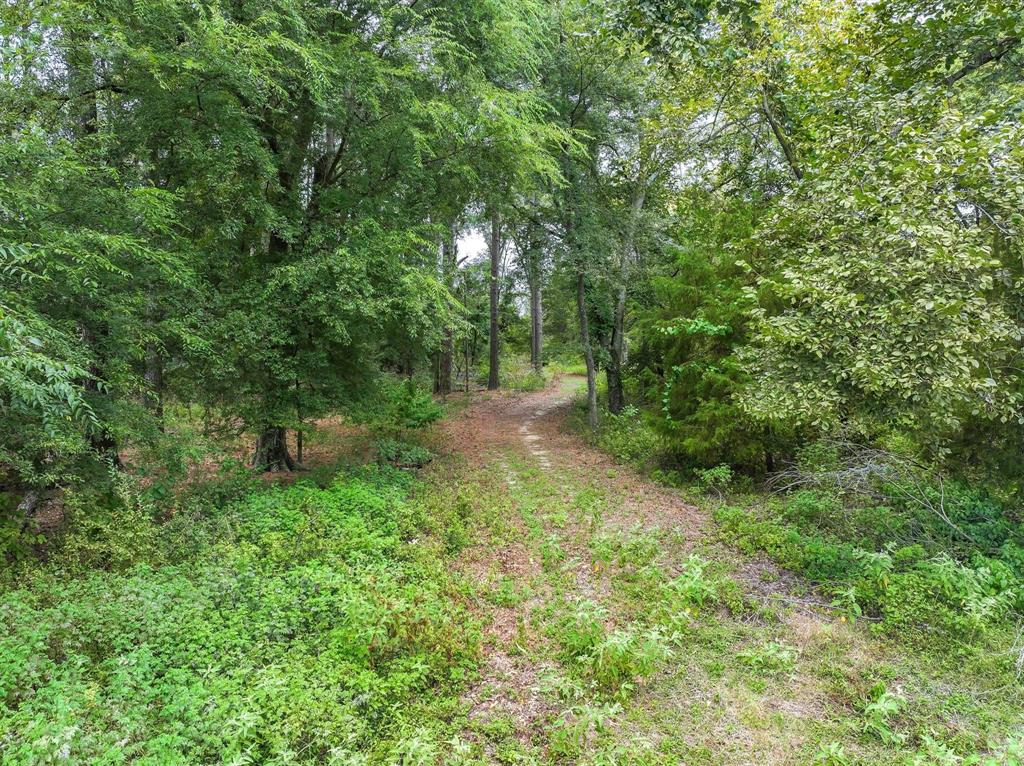 0 County Road 2212 Canton, TX 75103 - Photo 17 of 22