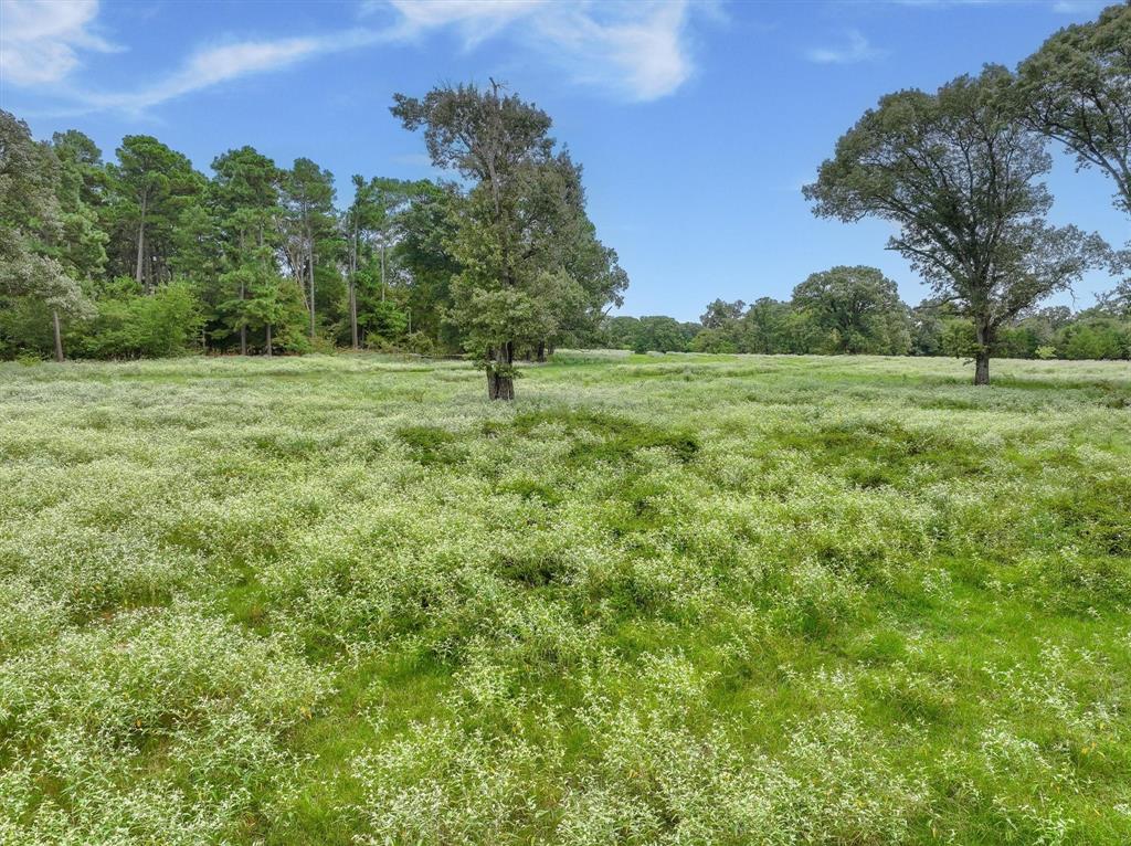 0 County Road 2212 Canton, TX 75103 - Photo 18 of 22