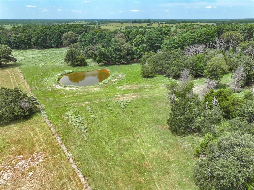 0 County Road 2212 Canton, TX 75103 - Photo 2 of 22