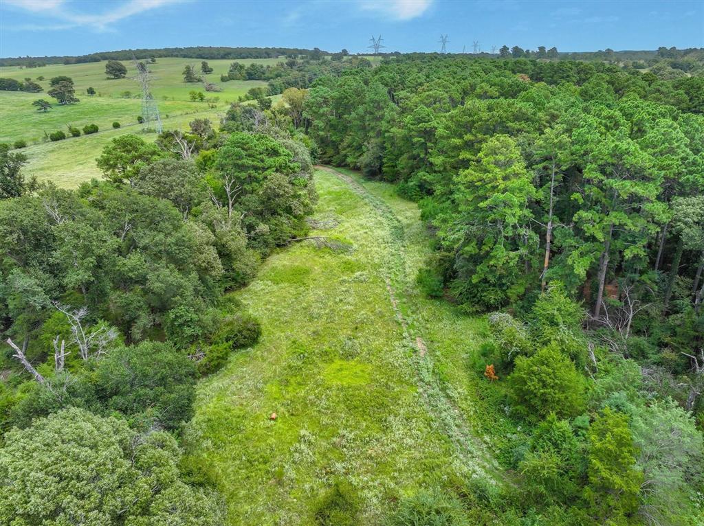 0 County Road 2212 Canton, TX 75103 - Photo 21 of 22