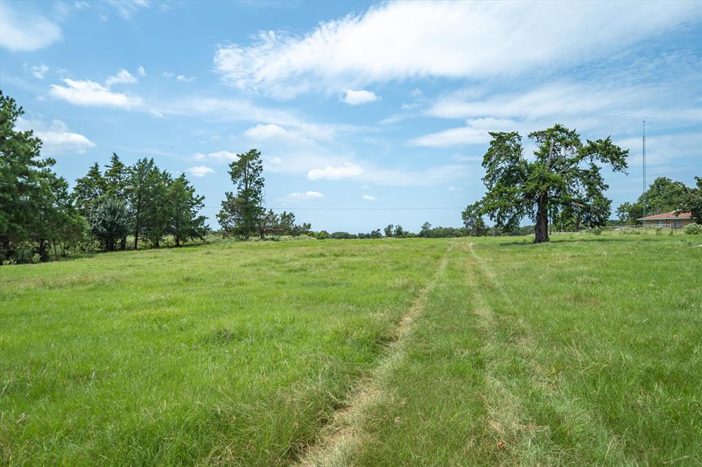 0 County Road 2212 Canton, TX 75103 - Photo 6 of 22