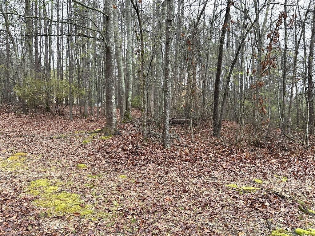 2930 Highway 113 Temple, GA 30179 - Photo 6 of 7