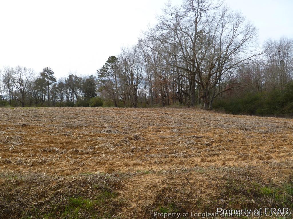 2861 Turnpike Road Raeford, NC 28376 - Photo 9 of 22 a view of a lake view