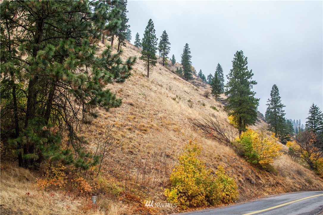 0 Olalla Canyon Road, Unit 8 Cashmere, WA 98815 - Photo 10 of 10 Gallery Image 10