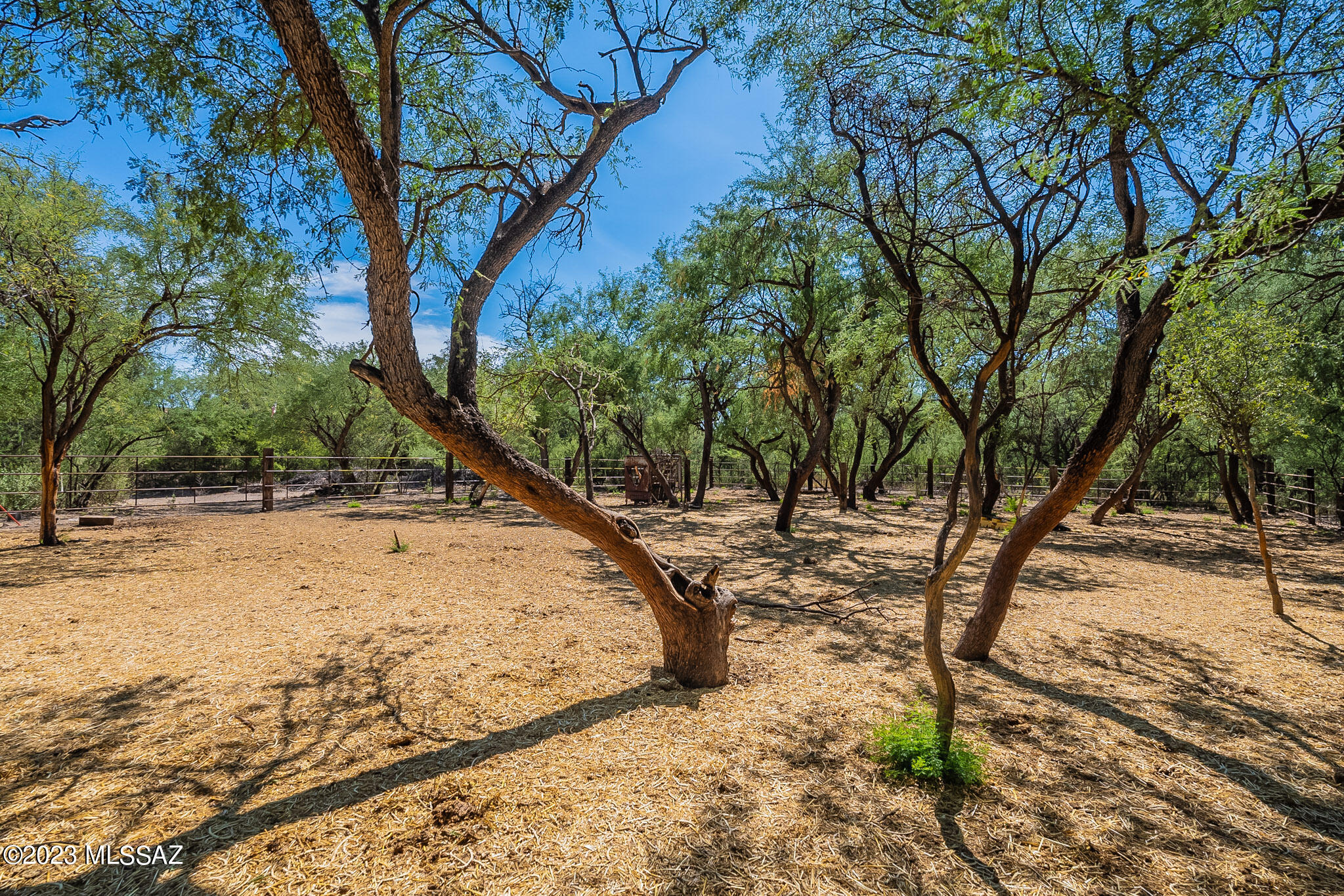 49 Paseo Mexico, Unit 10 Rio Rico, AZ 85648 - Photo 4 of 43