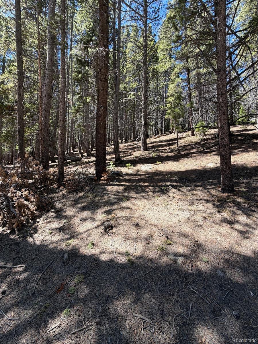 Lot 378 Alice Road Idaho Springs, CO 80452 - Photo 14 of 26 a view of a yard with trees