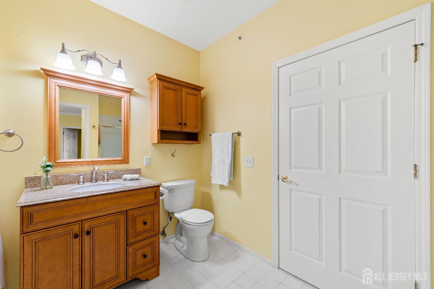 540 Cranbury Road East Brunswick, NJ 08816 - Photo 18 of 33 a bathroom with a toilet a sink and a mirror