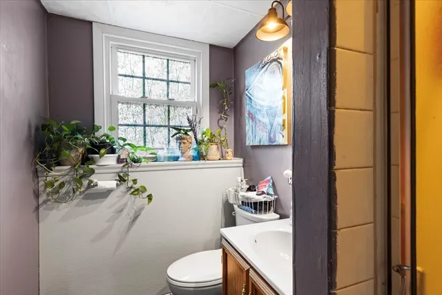 a bathroom with a sink mirror vanity and toilet