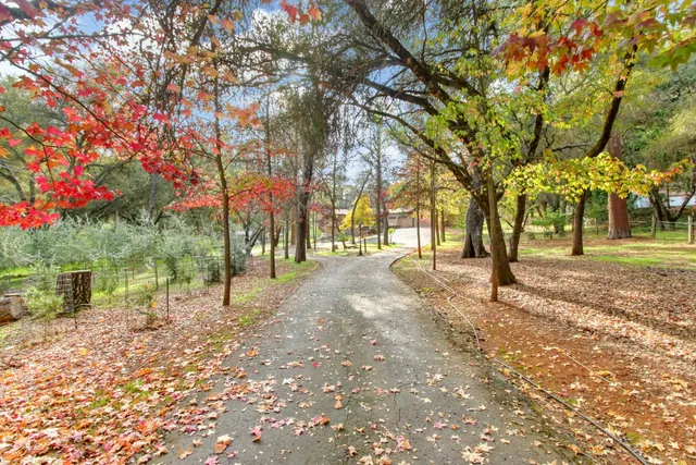 a view of road with trees