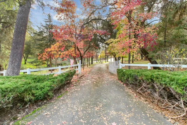 a view of park with tree