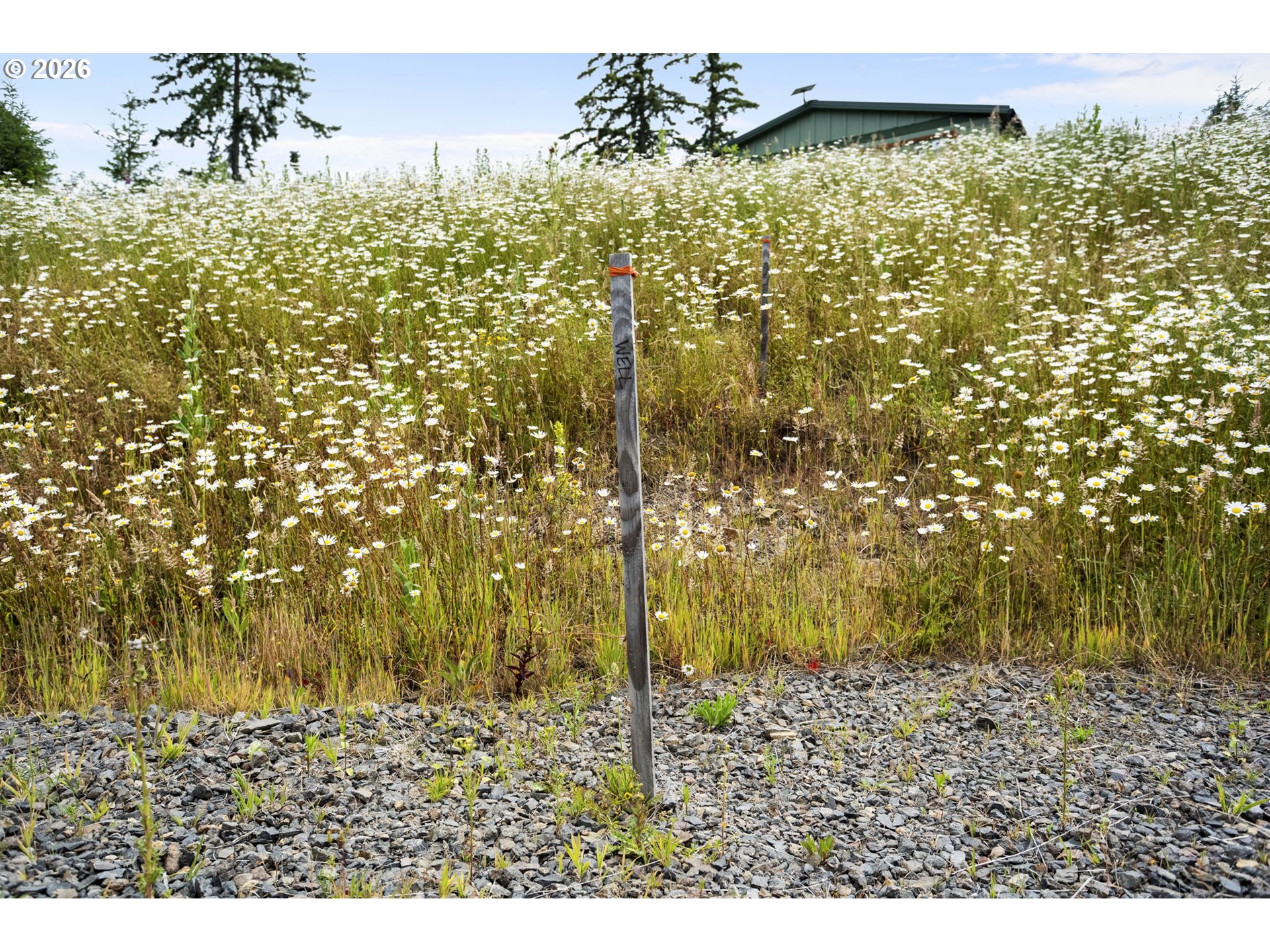 104 Bootjack Lane Kelso, WA 98626 - Photo 22 of 31 Acreage