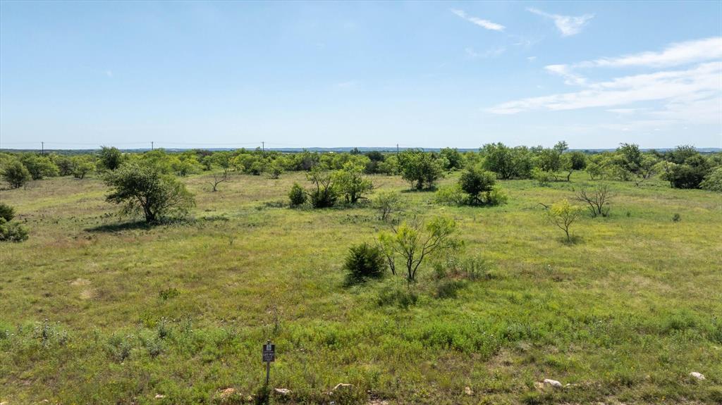 1032 Goodnight Trail Perrin, TX 76486 - Photo 3 of 18