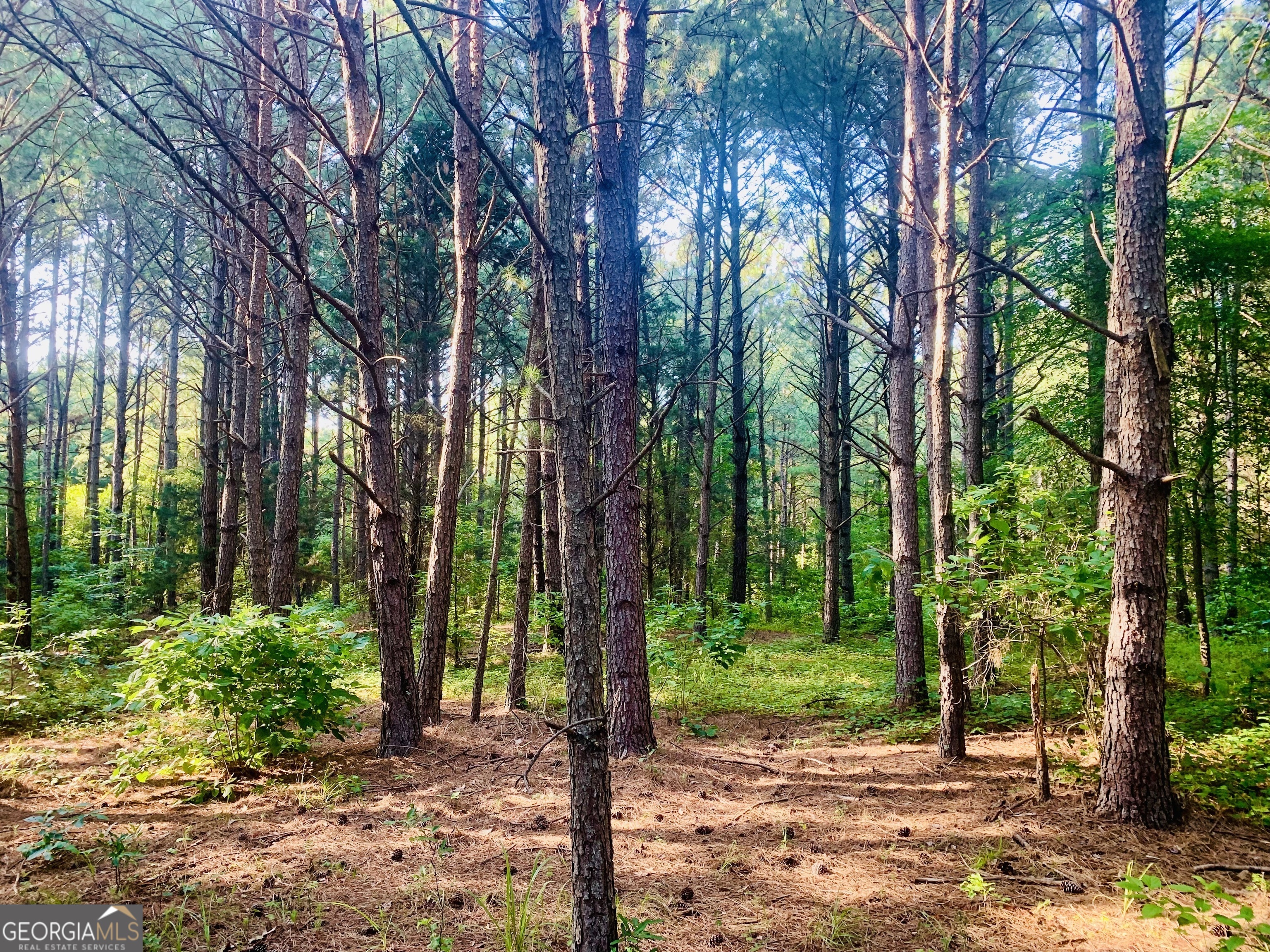 0 Pedenville Road Concord, GA 30206 - Photo 1 of 38