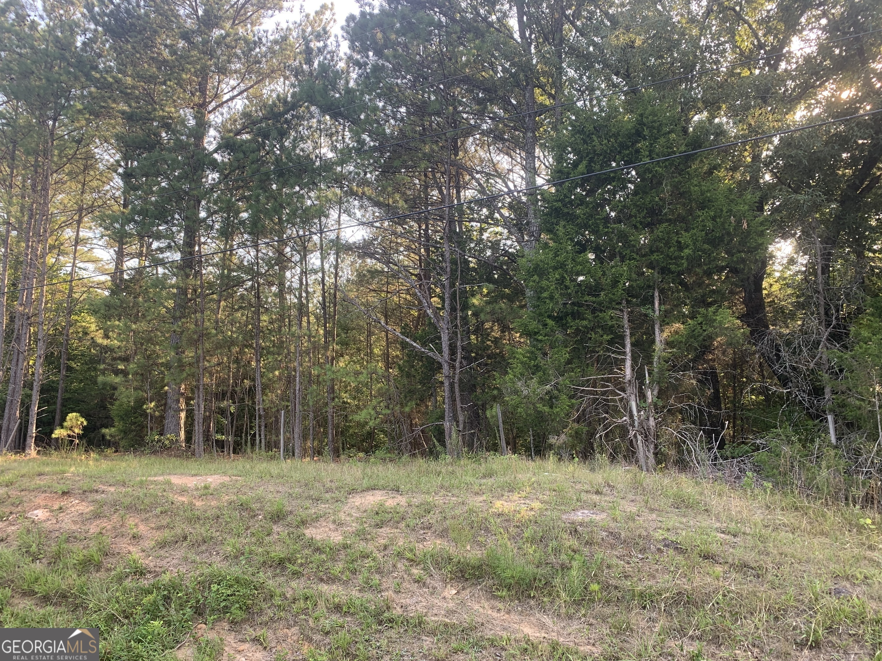 0 Pedenville Road Concord, GA 30206 - Photo 11 of 38 a big yard with lots of green space and trees