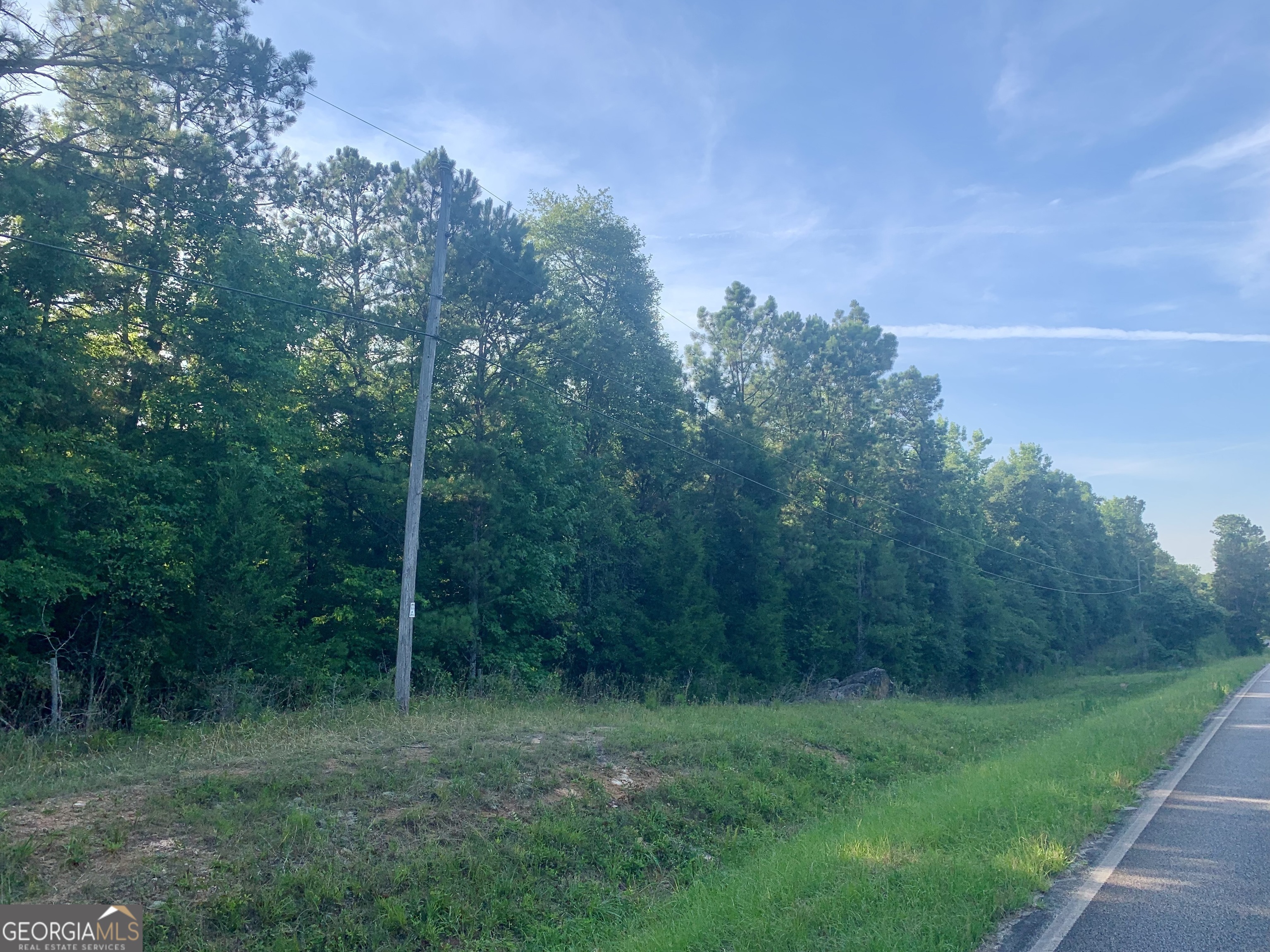 0 Pedenville Road Concord, GA 30206 - Photo 12 of 38 a view of a forest