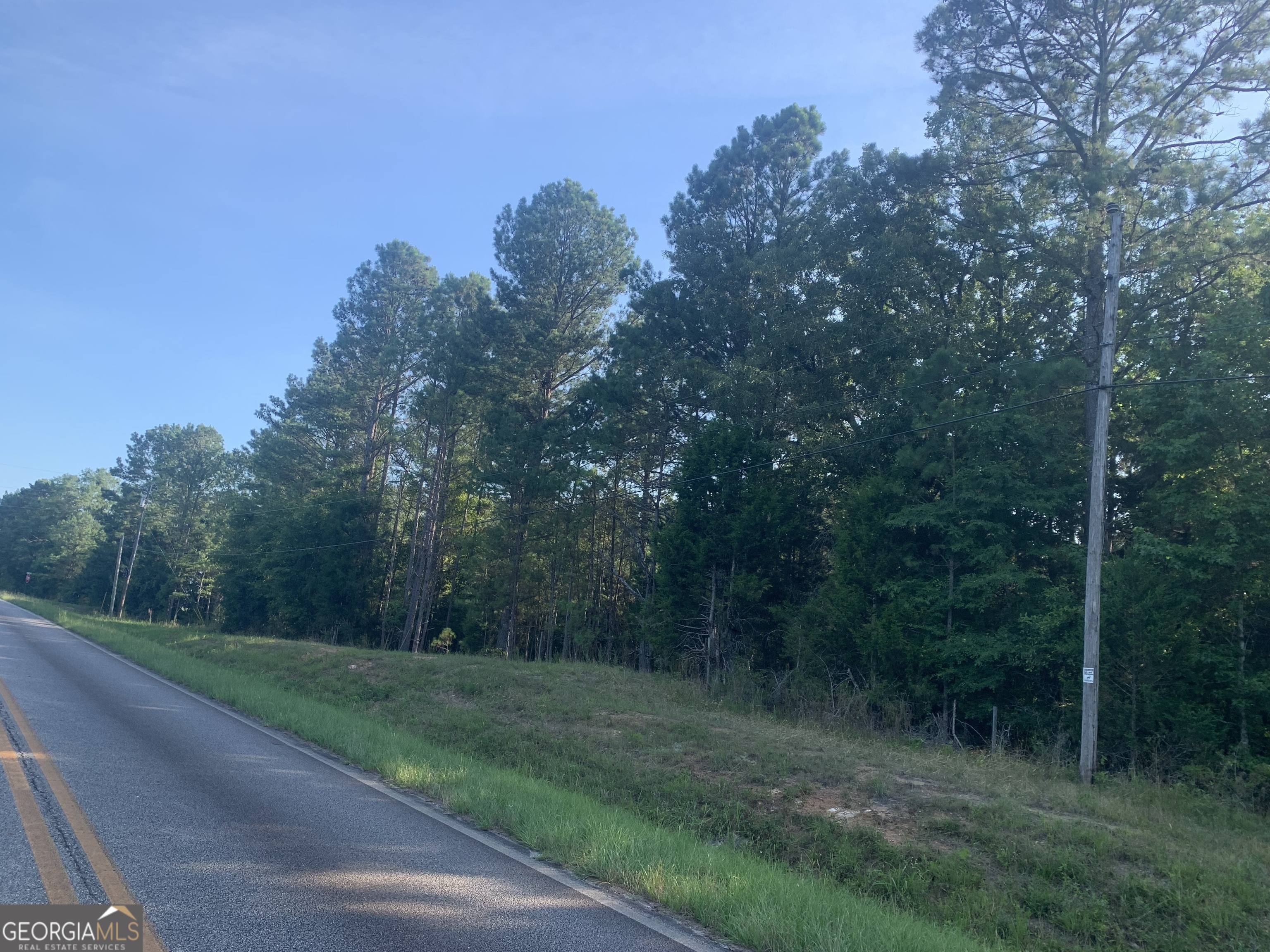 0 Pedenville Road Concord, GA 30206 - Photo 13 of 38 a view of a forest