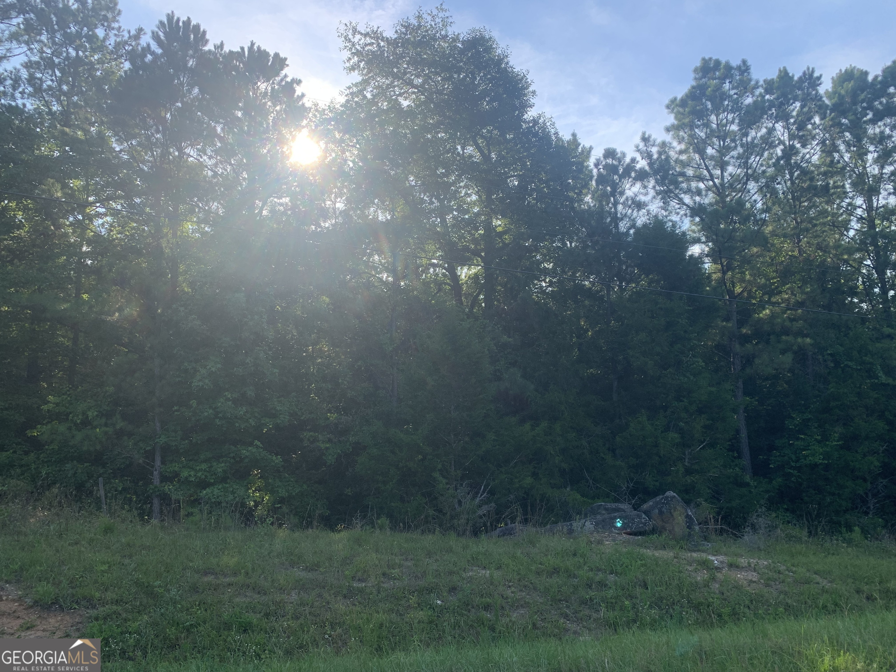 0 Pedenville Road Concord, GA 30206 - Photo 14 of 38 a view of a yard