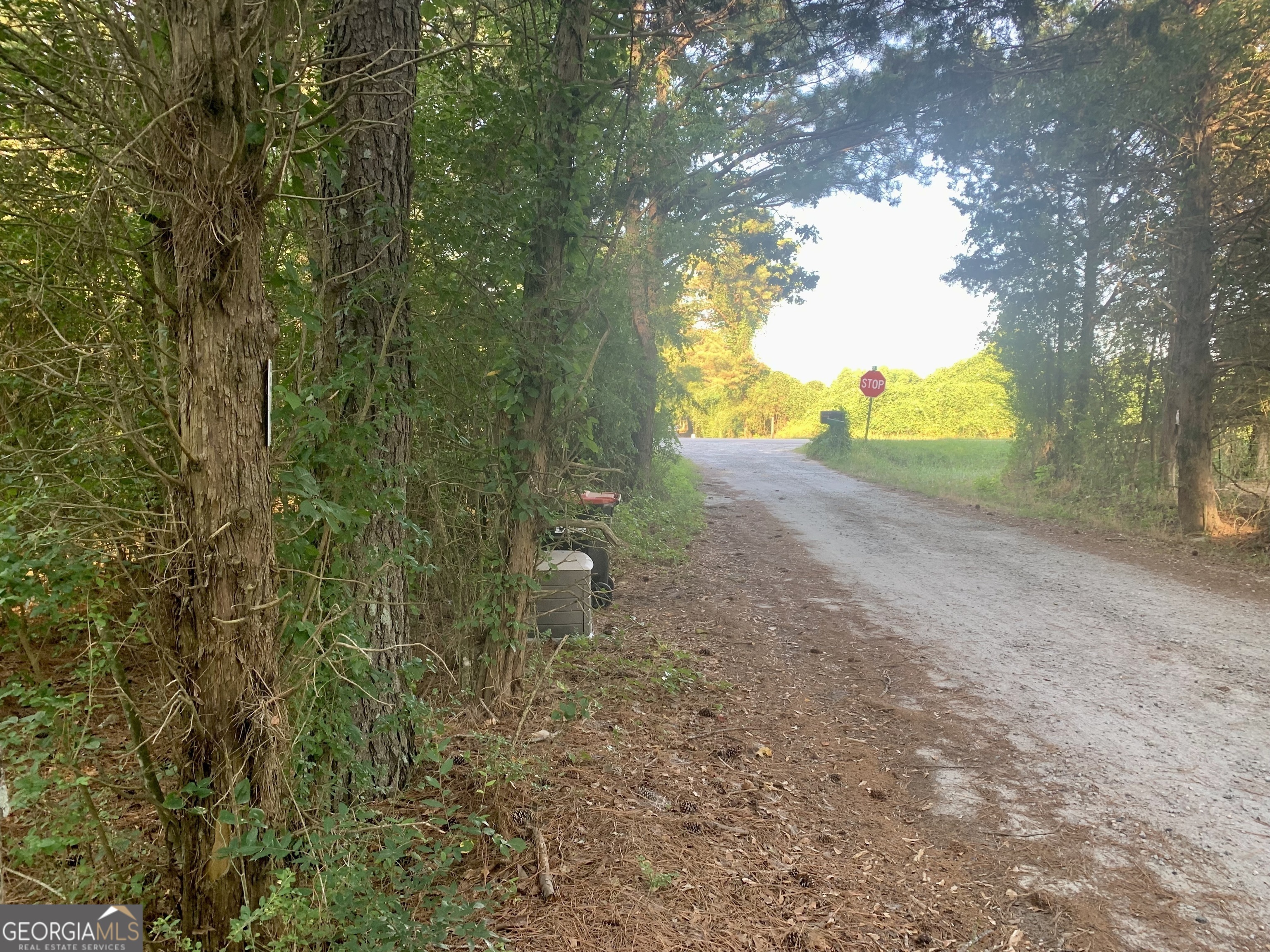 0 Pedenville Road Concord, GA 30206 - Photo 15 of 38 a view of a yard