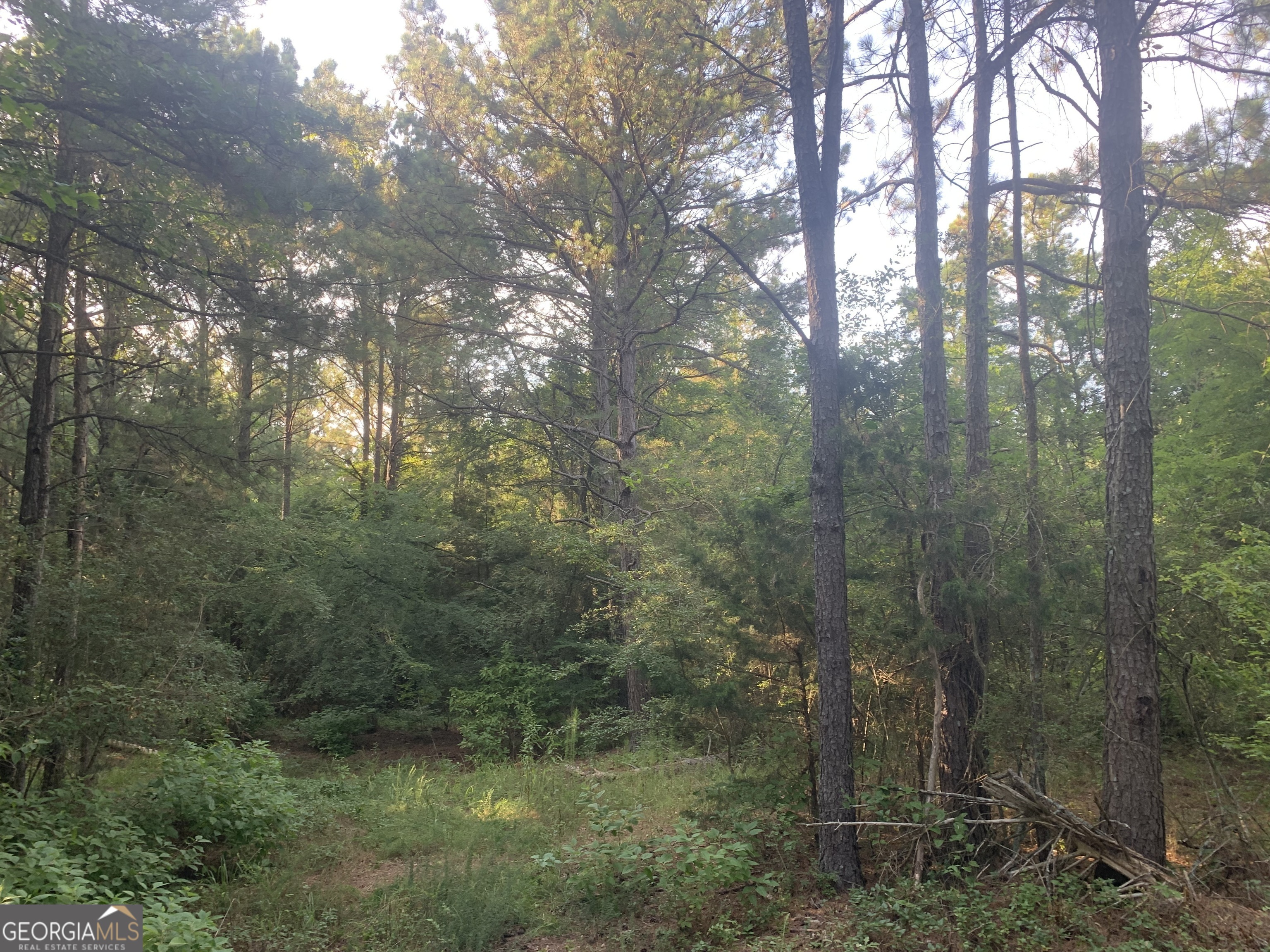 0 Pedenville Road Concord, GA 30206 - Photo 17 of 38 a view of a forest