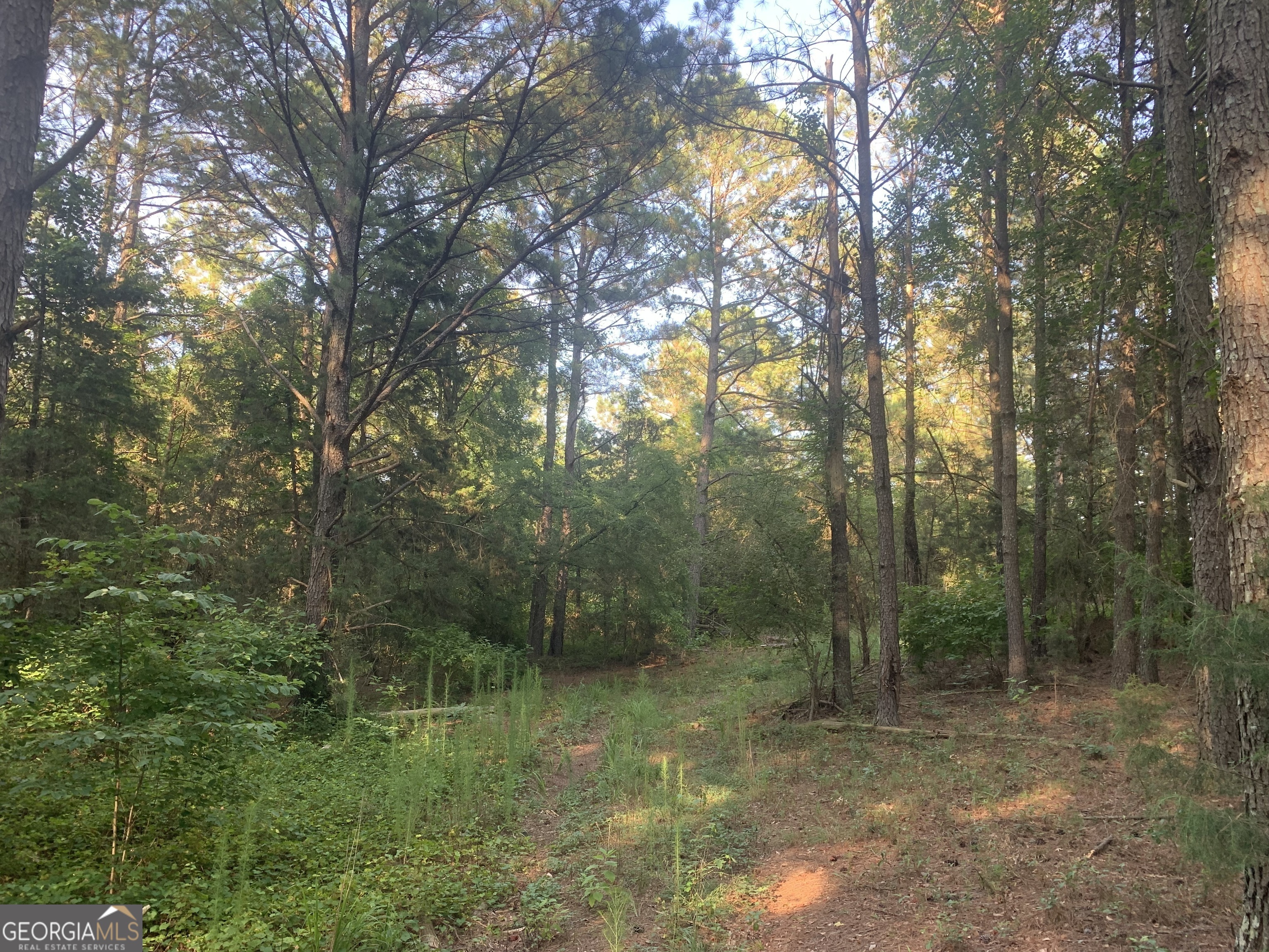 0 Pedenville Road Concord, GA 30206 - Photo 18 of 38 a view of a forest with trees in the background
