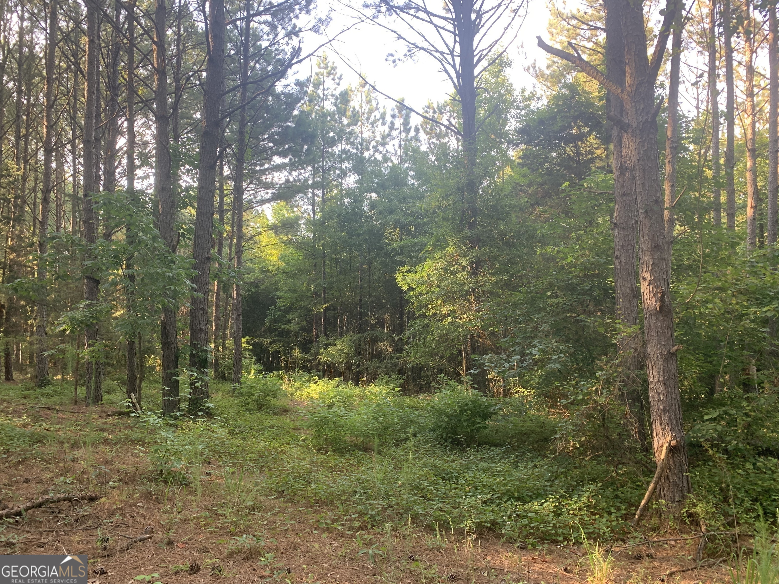 0 Pedenville Road Concord, GA 30206 - Photo 19 of 38 a big yard with lots of green space and trees