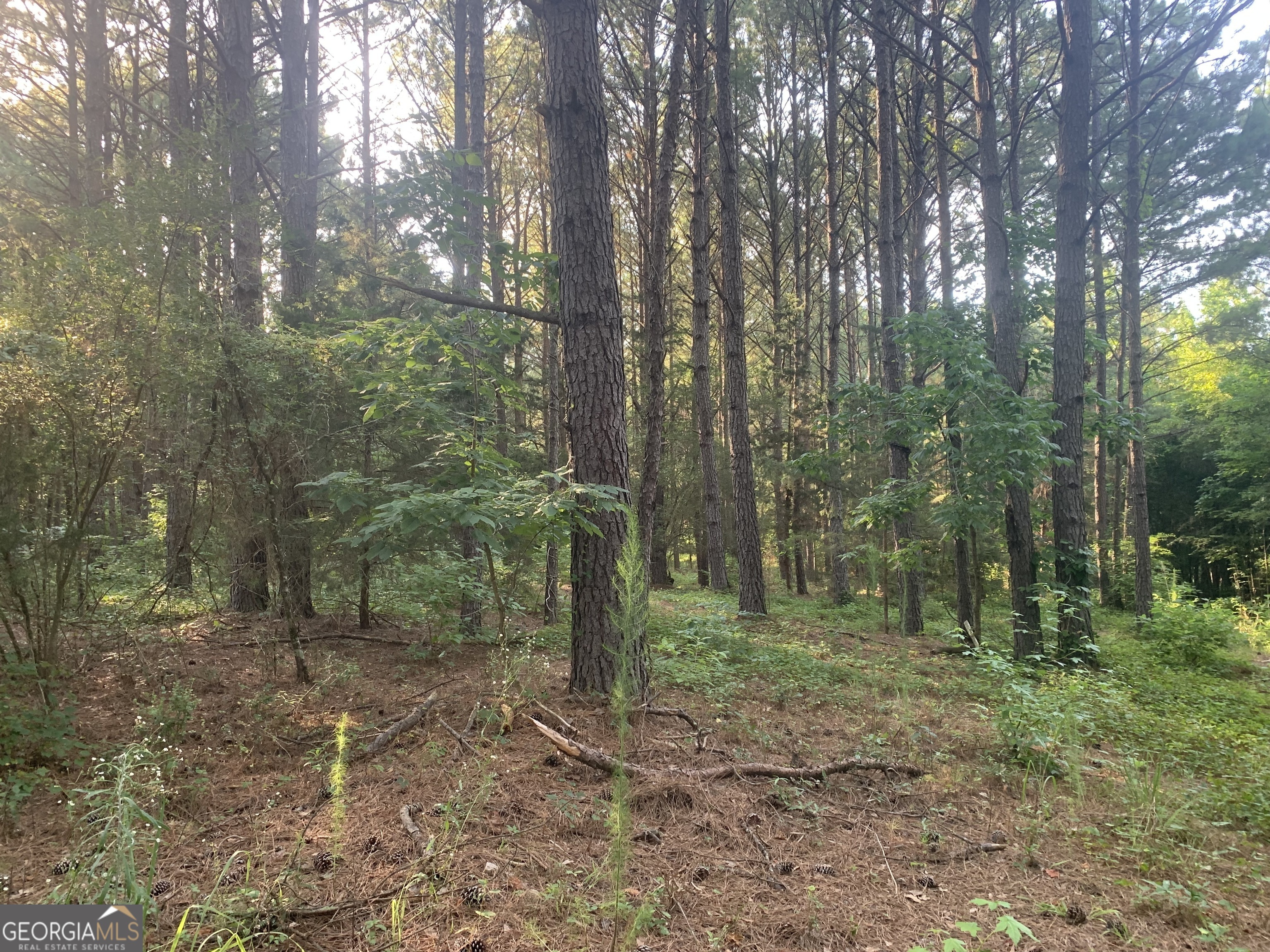 0 Pedenville Road Concord, GA 30206 - Photo 20 of 38 a view of outdoor space and trees
