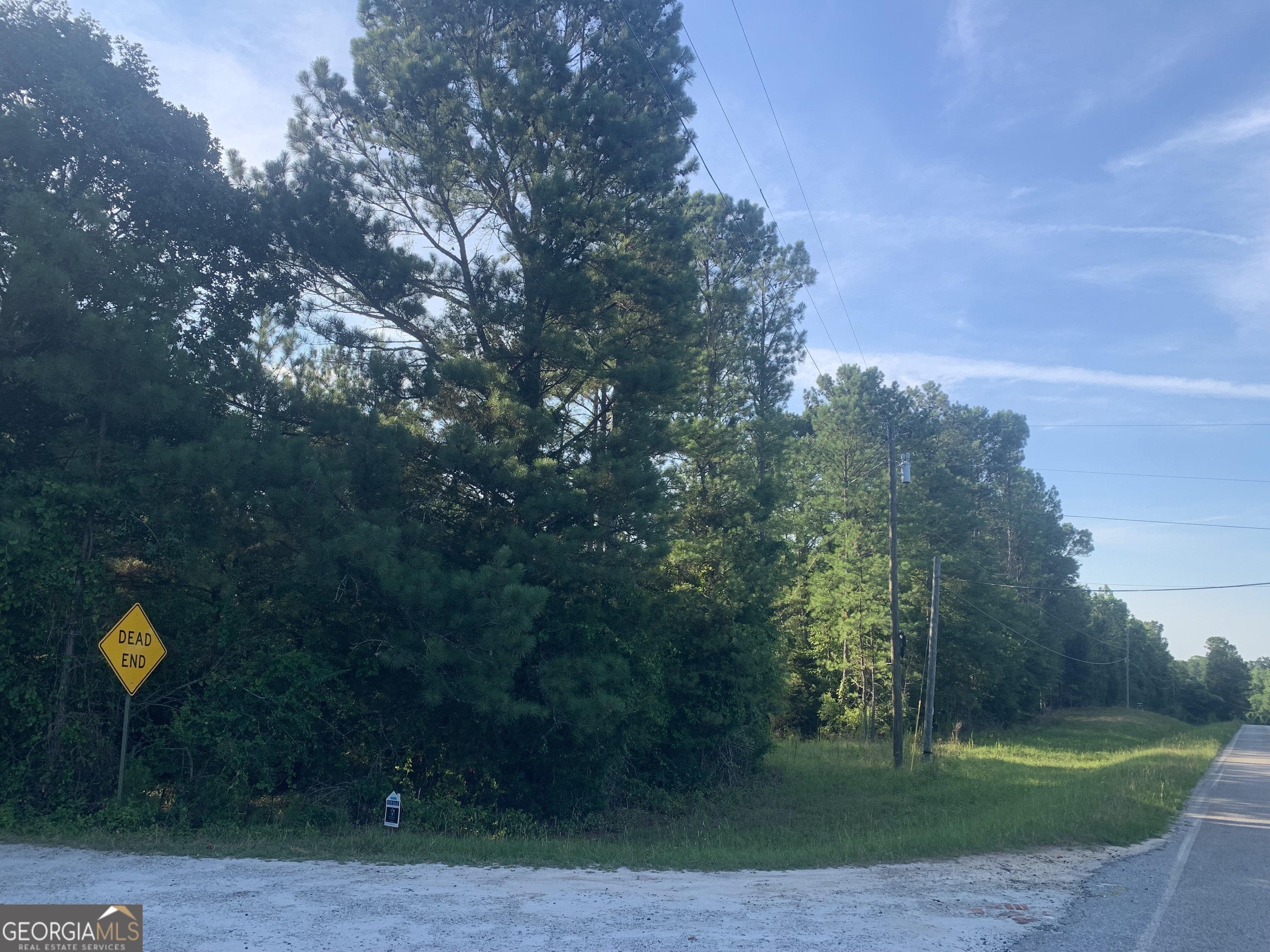 0 Pedenville Road Concord, GA 30206 - Photo 2 of 38 a swimming pool with outdoor seating and yard