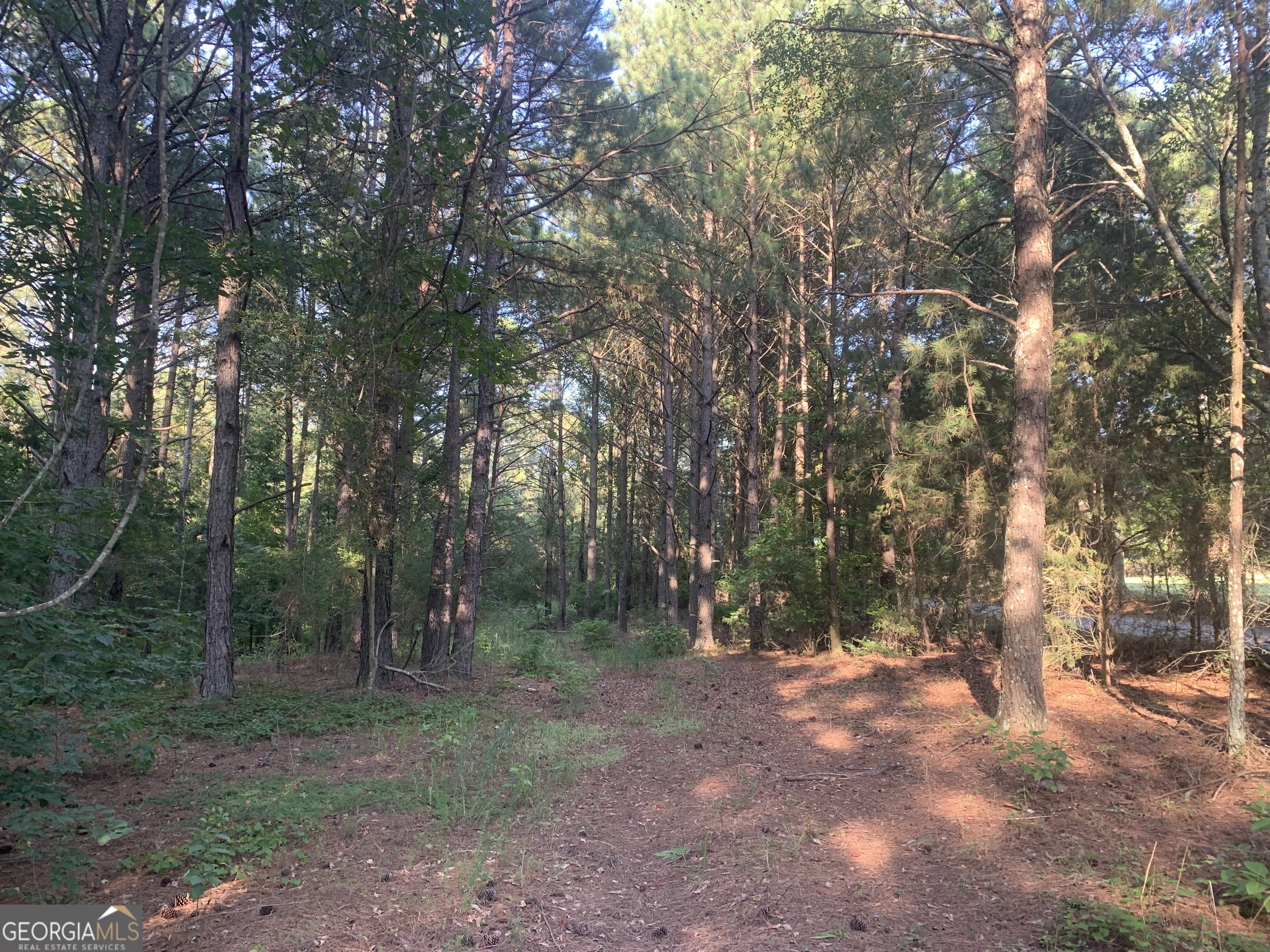 0 Pedenville Road Concord, GA 30206 - Photo 21 of 38 a view of outdoor space and trees