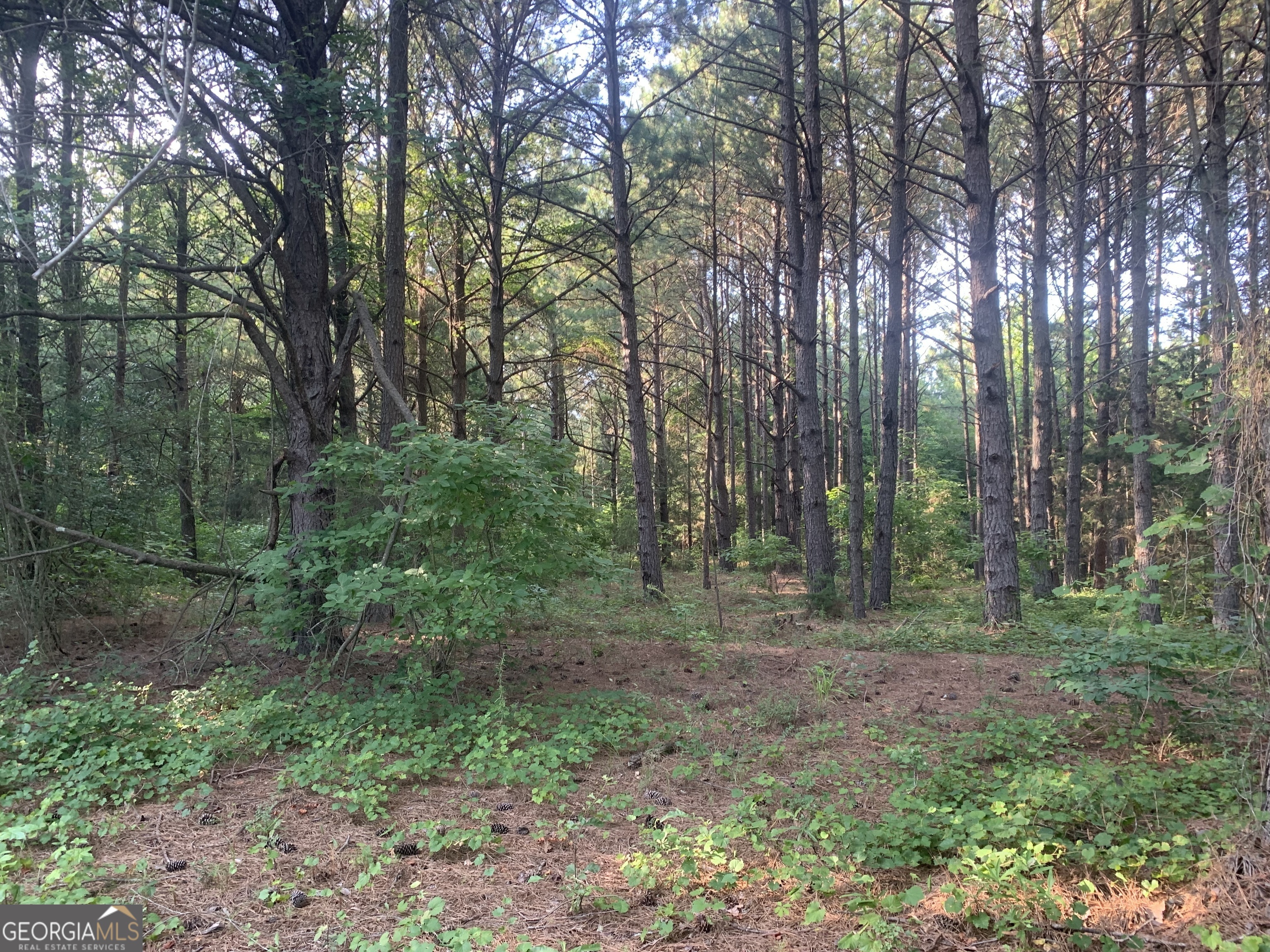 0 Pedenville Road Concord, GA 30206 - Photo 22 of 38 a view of outdoor space and green space