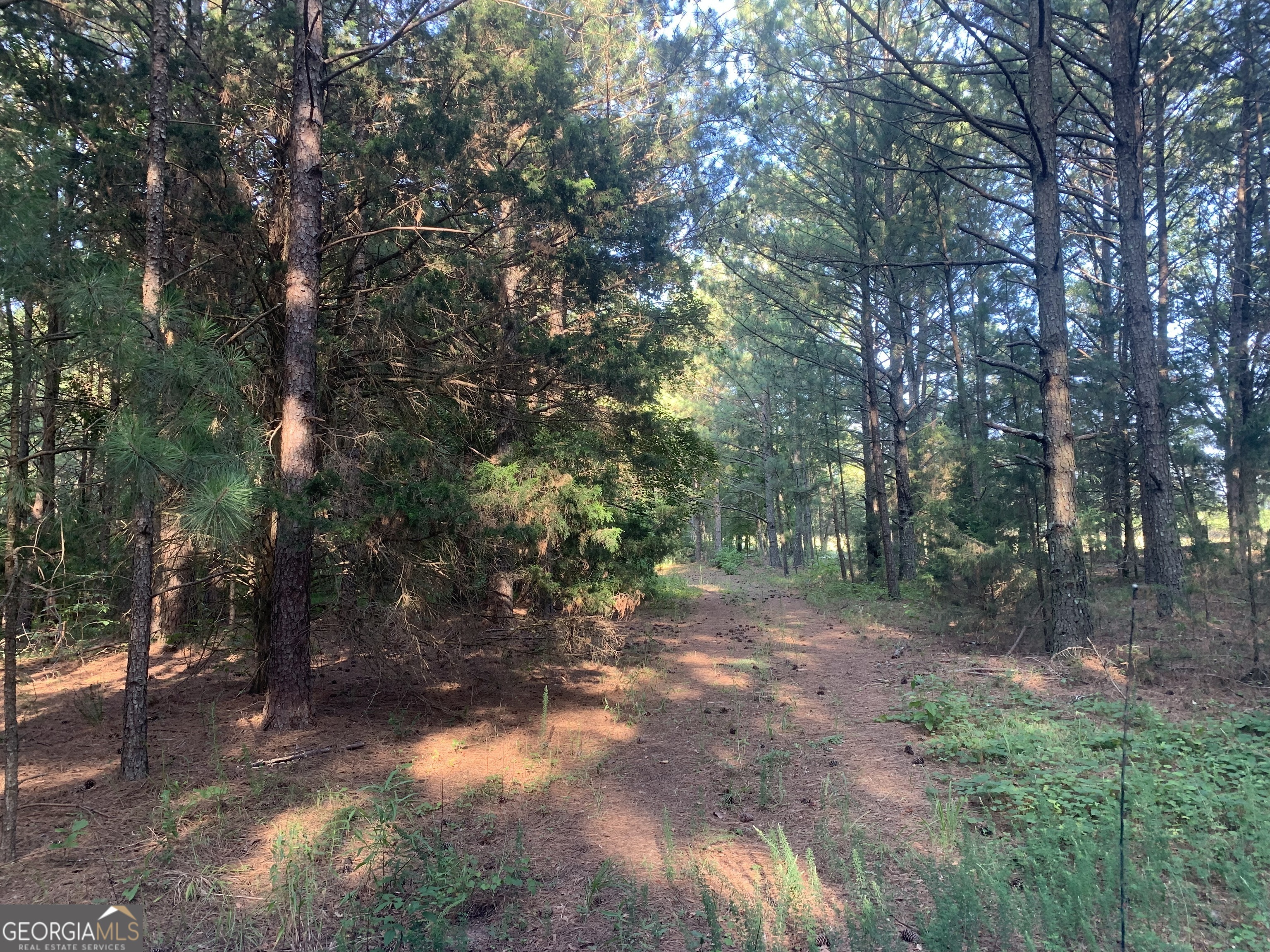 0 Pedenville Road Concord, GA 30206 - Photo 24 of 38 a view of a forest