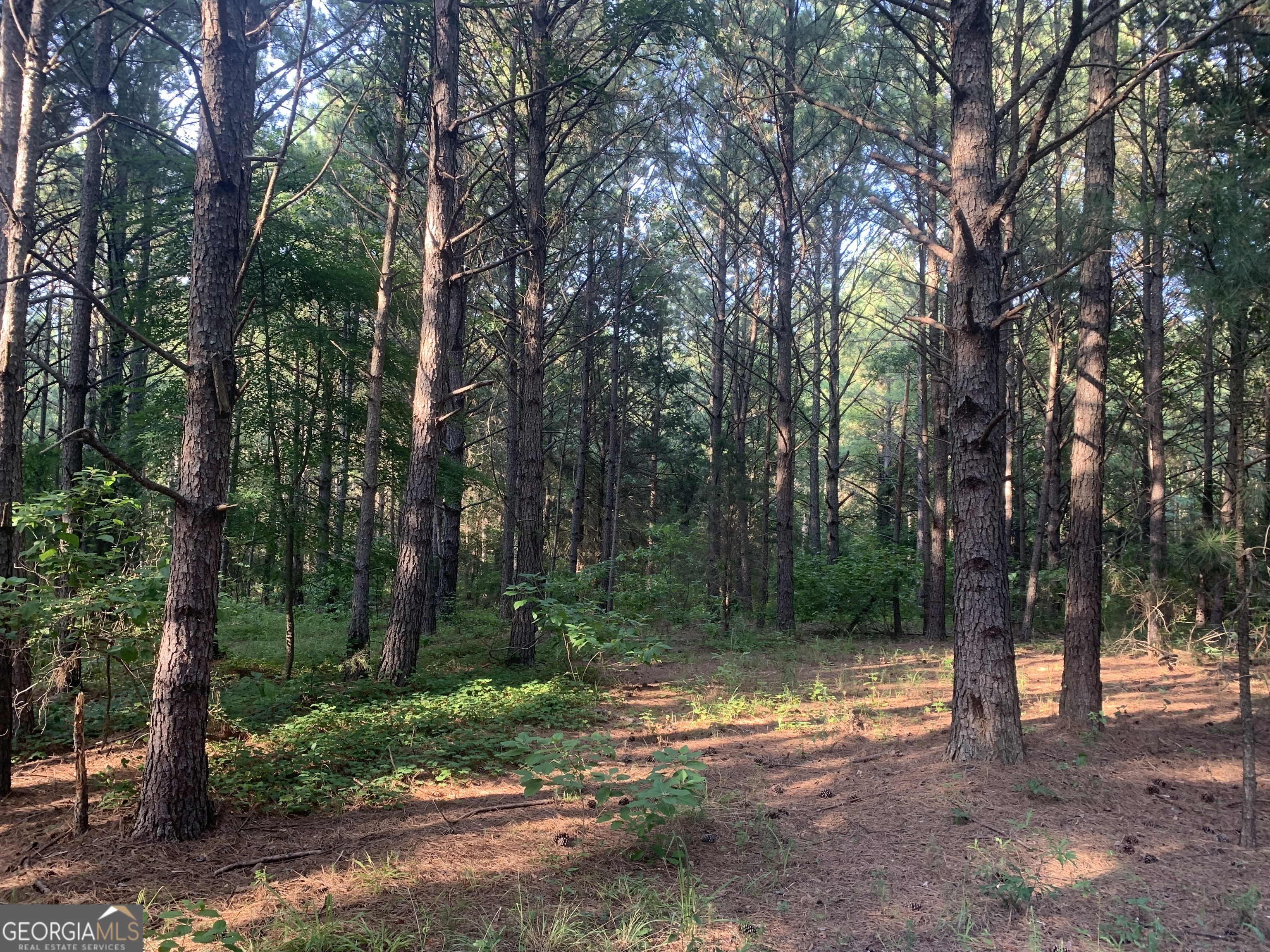 0 Pedenville Road Concord, GA 30206 - Photo 25 of 38 a backyard of a house with lots of green space
