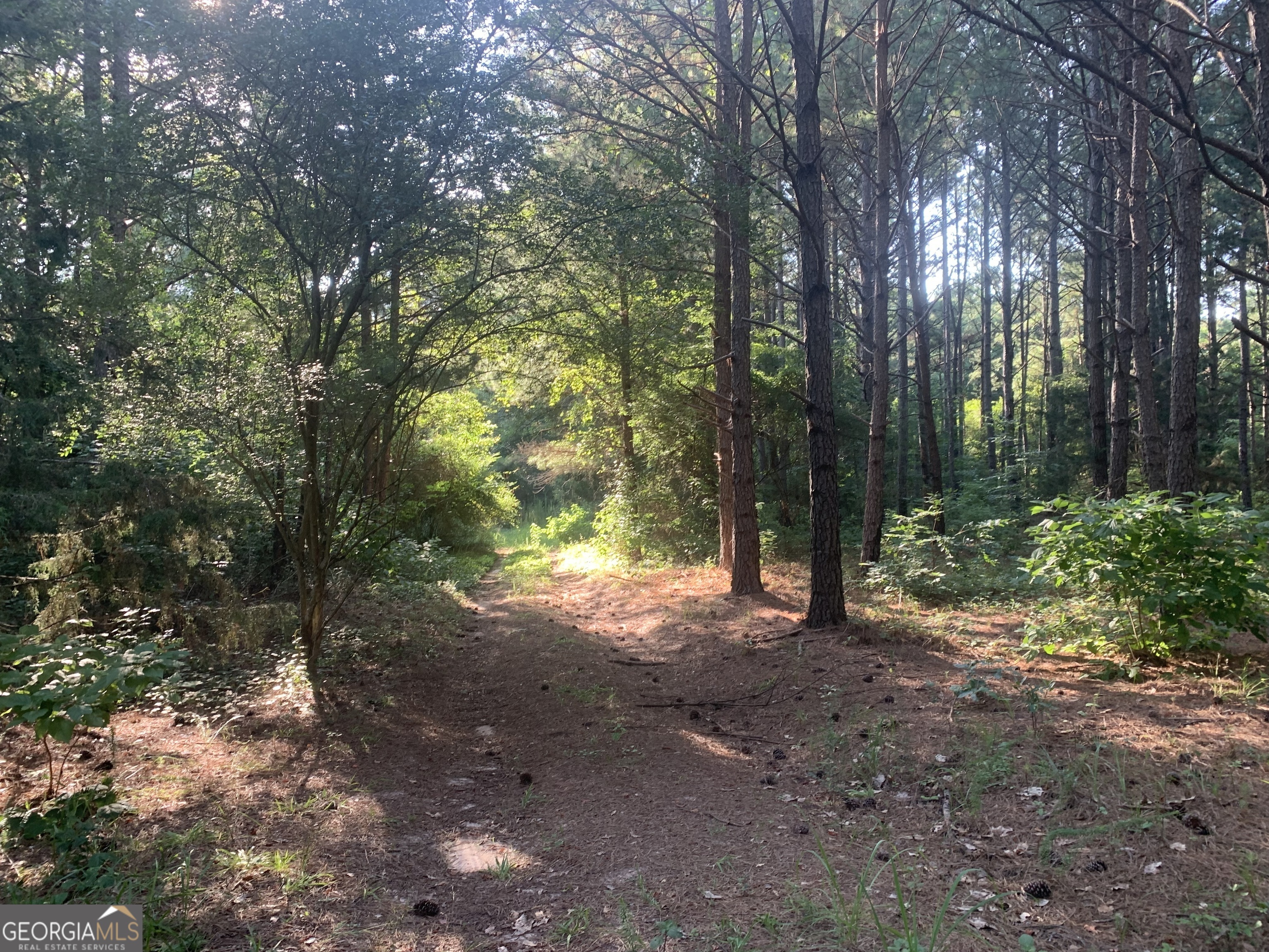 0 Pedenville Road Concord, GA 30206 - Photo 26 of 38 a view of a forest with trees