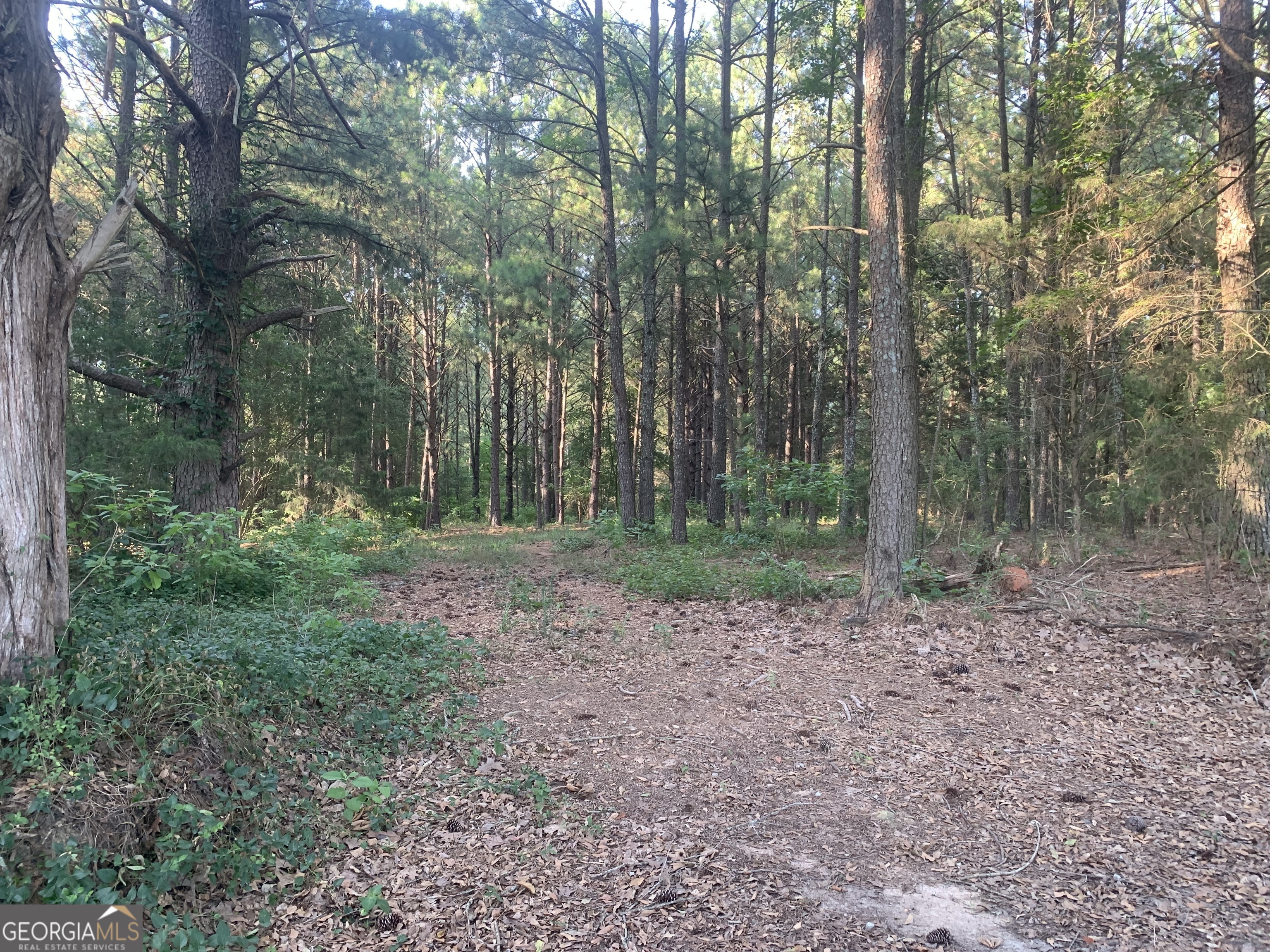 0 Pedenville Road Concord, GA 30206 - Photo 27 of 38 a view of a yard with trees in the background
