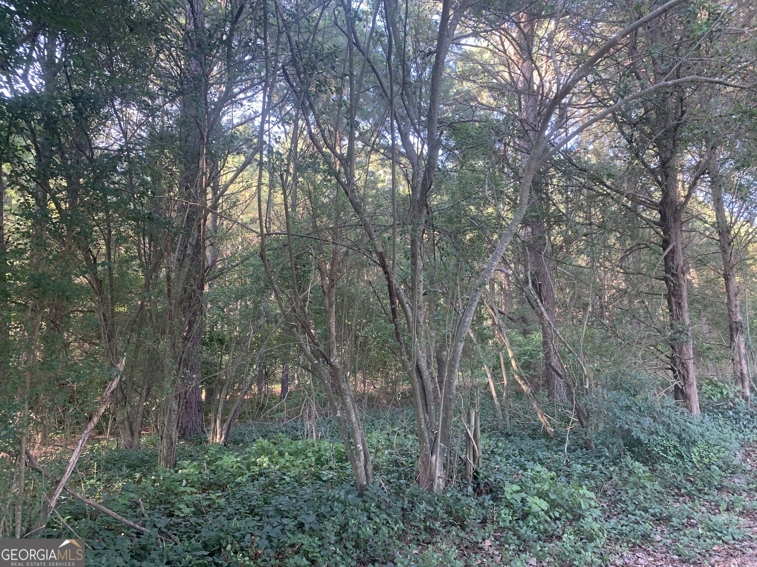 0 Pedenville Road Concord, GA 30206 - Photo 28 of 38 a view of forest