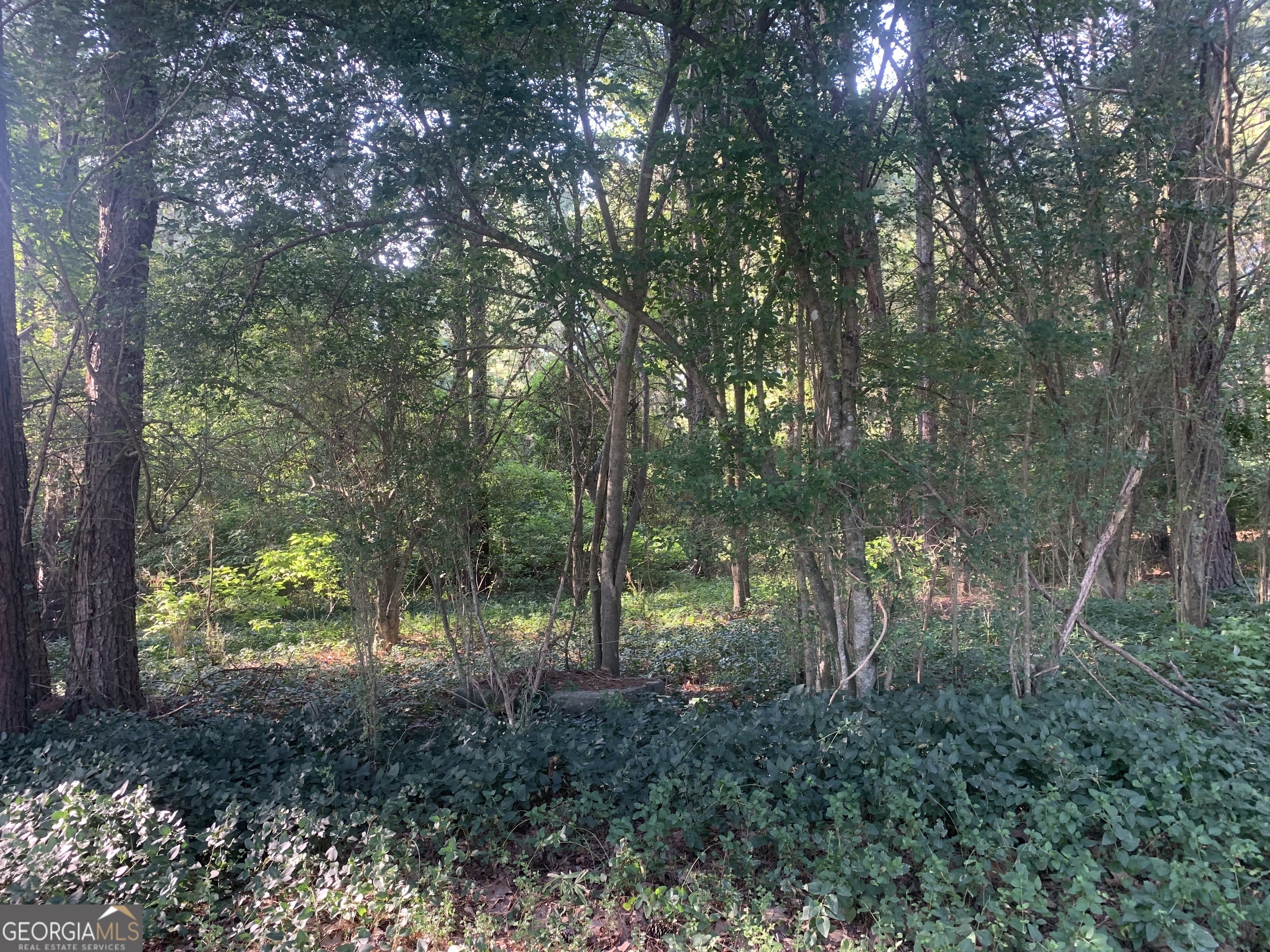 0 Pedenville Road Concord, GA 30206 - Photo 29 of 38 a view of outdoor space and trees