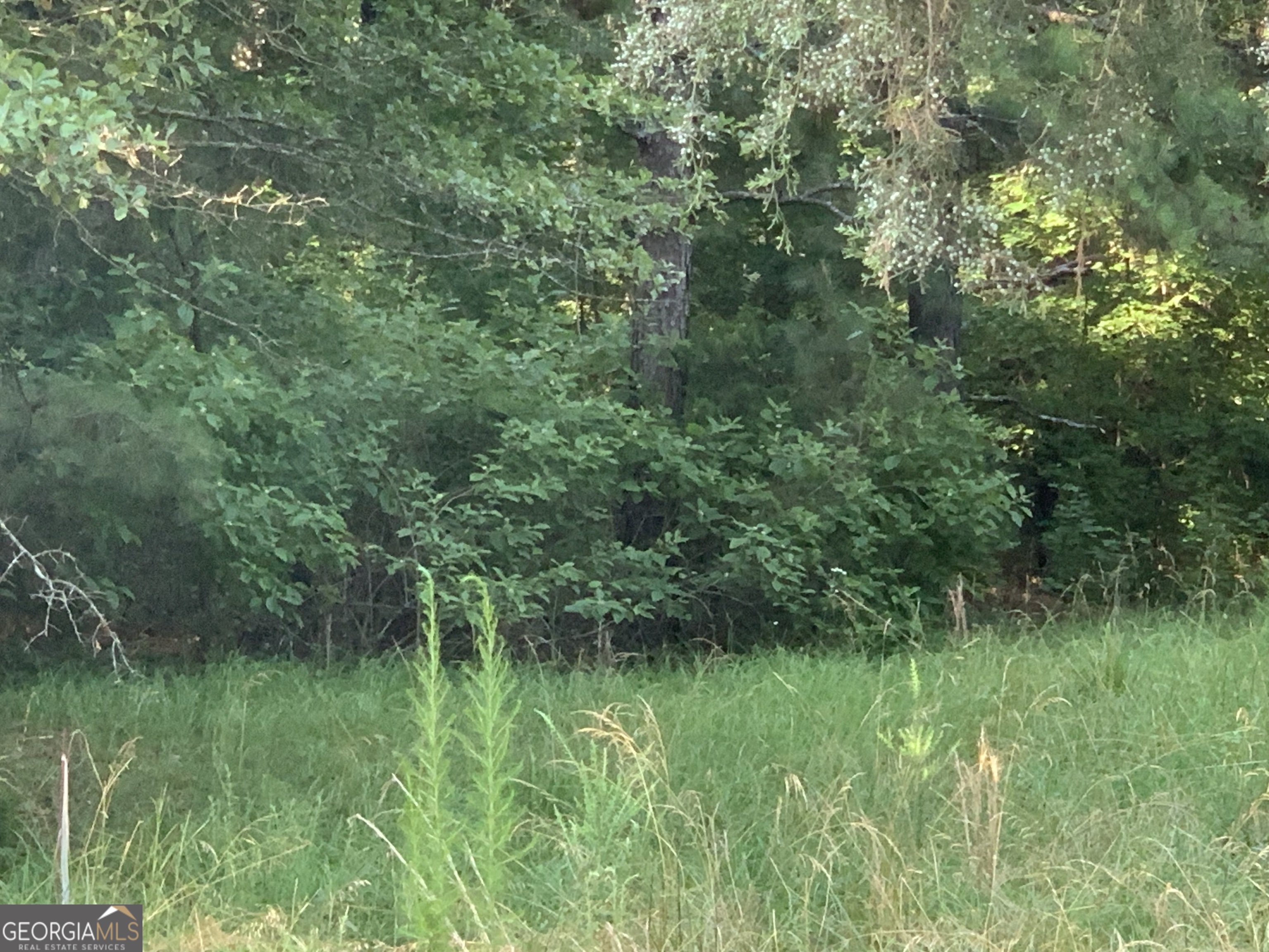0 Pedenville Road Concord, GA 30206 - Photo 30 of 38 a view of a lush green forest
