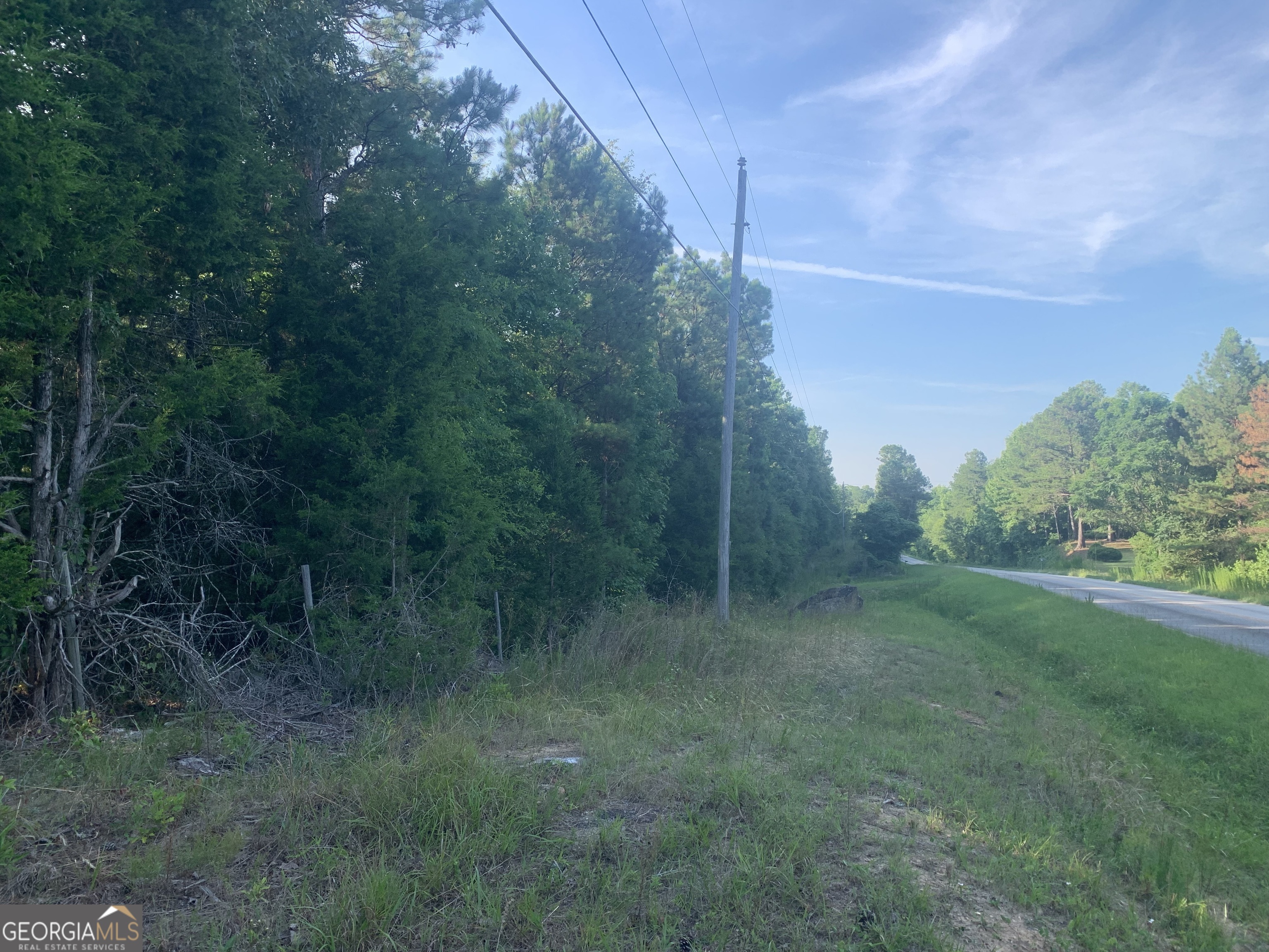 0 Pedenville Road Concord, GA 30206 - Photo 3 of 38 a view of a lush green forest