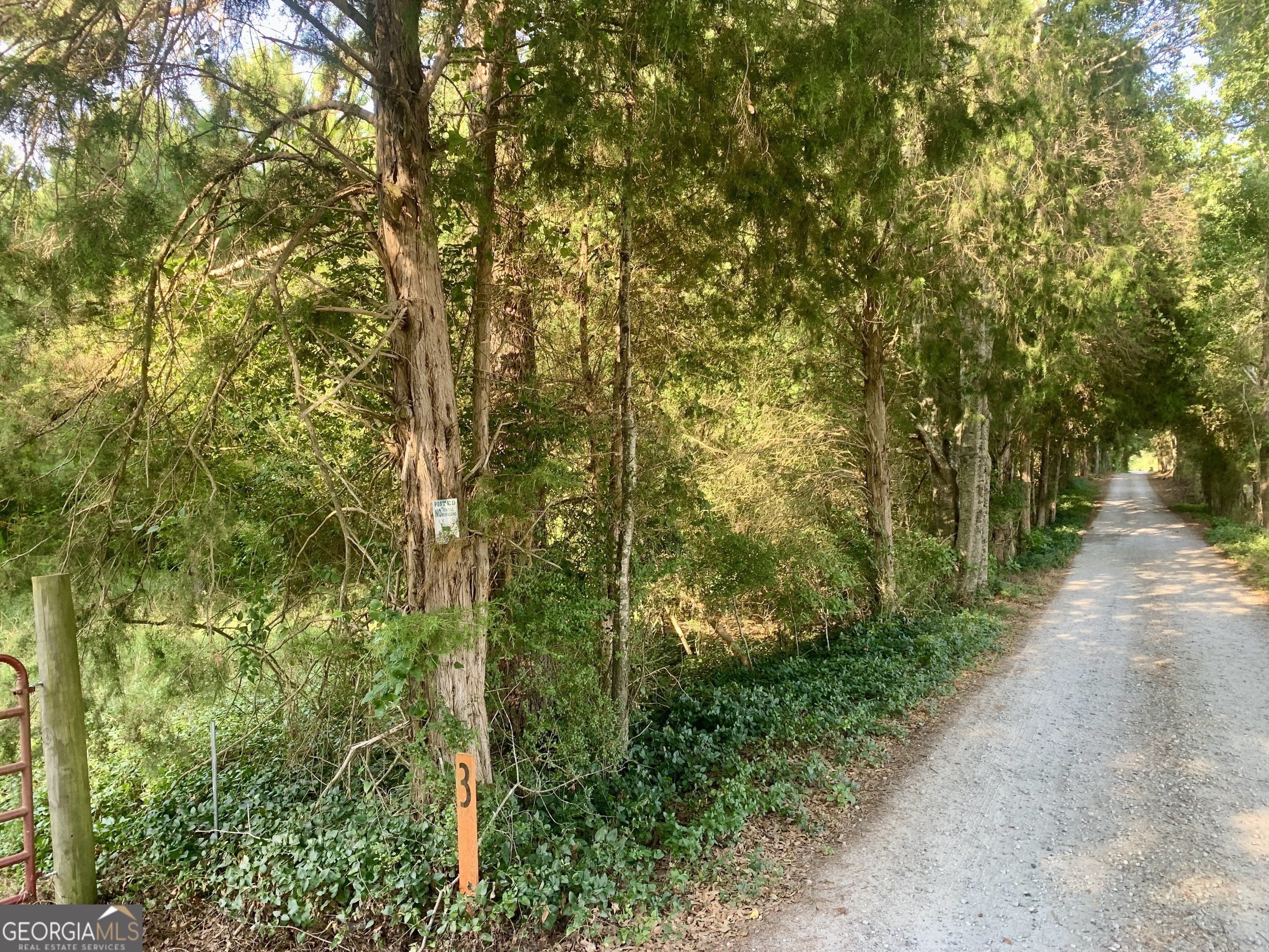 0 Pedenville Road Concord, GA 30206 - Photo 31 of 38 a view of a garden with trees